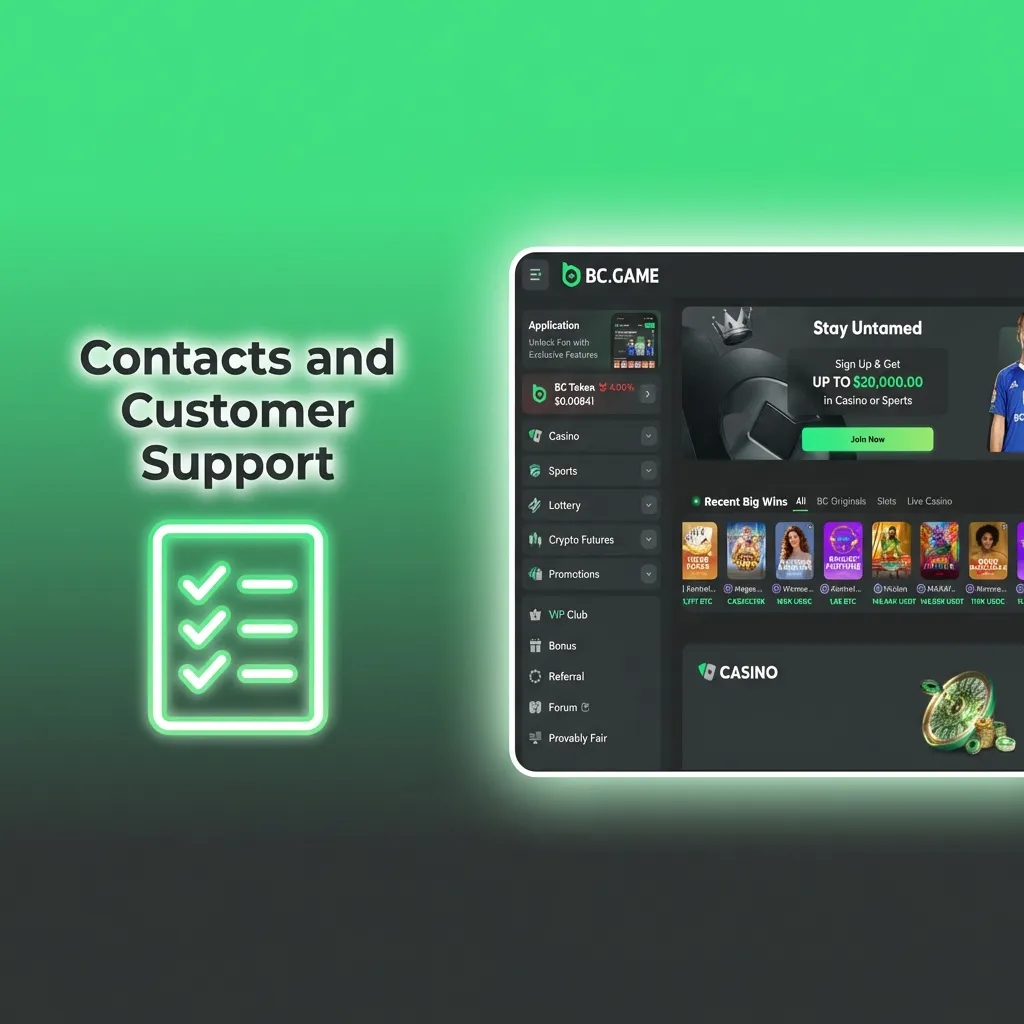 BC Game India support page showing 24/7 live chat, email, and FAQ options for account and payment help