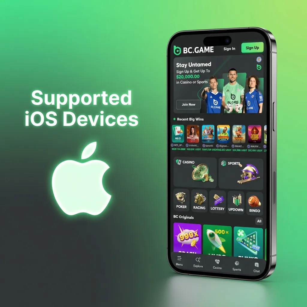 List of supported Apple iPhone and iPad models in India for using the BC Game iOS web app via Safari