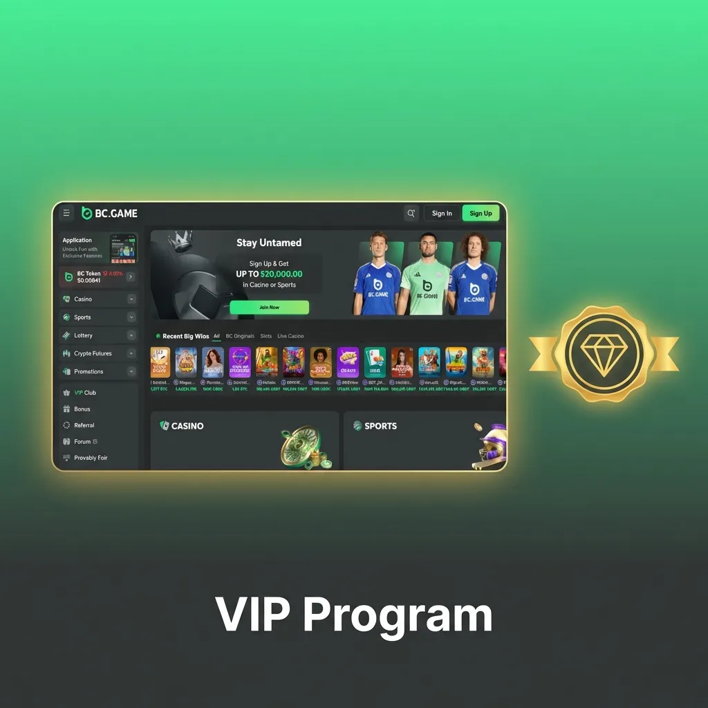 BC Game India VIP program tiers with XP bar and icons for rakeback, reloads, higher limits, support, and special promos